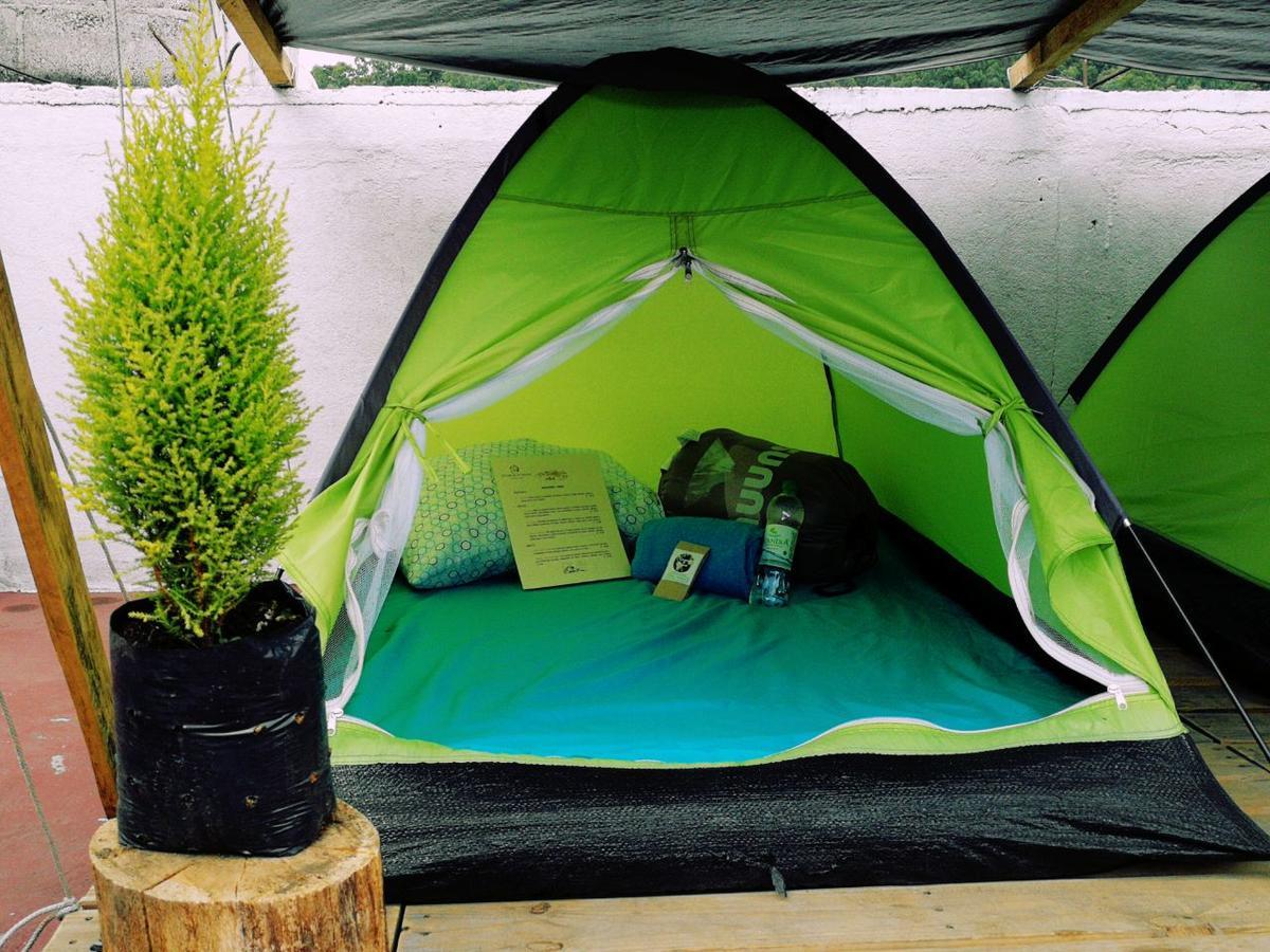 Camping & Travel Antigua Екстериор снимка