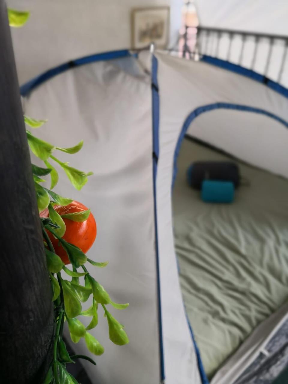 Camping & Travel Antigua Екстериор снимка
