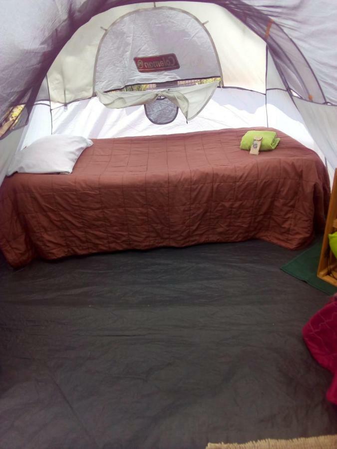 Camping & Travel Antigua Екстериор снимка